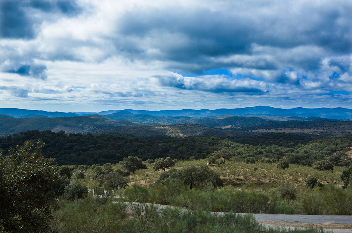 FOUR REASONS TO PROTECT RIVERS